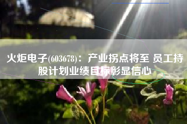 火炬电子(603678)：产业拐点将至 员工持股计划业绩目标彰显信心