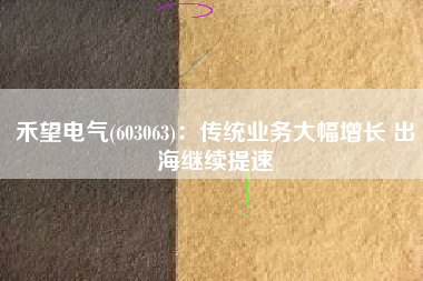 禾望电气(603063)：传统业务大幅增长 出海继续提速