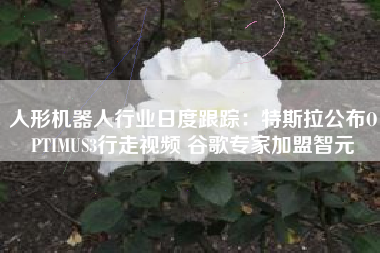 人形机器人行业日度跟踪：特斯拉公布OPTIMUS3行走视频 谷歌专家加盟智元