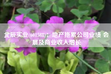 北辰实业(601588)：地产拖累公司业绩 会展及商业收入增长