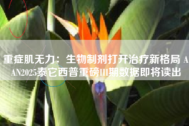 重症肌无力：生物制剂打开治疗新格局 AAN2025泰它西普重磅III期数据即将读出