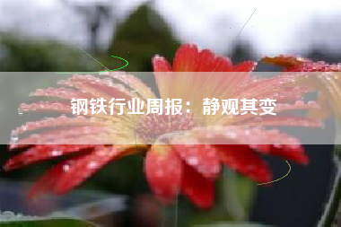 钢铁行业周报：静观其变