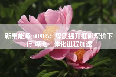 新集能源(601918)：煤质提升抵御煤价下行 煤电一体化进程加速