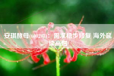 安琪酵母(600298)：需求稳步修复 海外延续高增