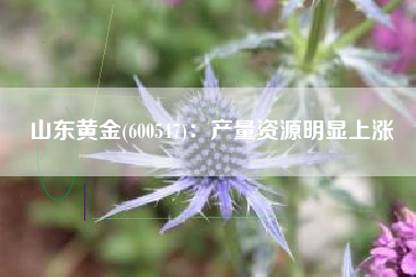 山东黄金(600547)：产量资源明显上涨
