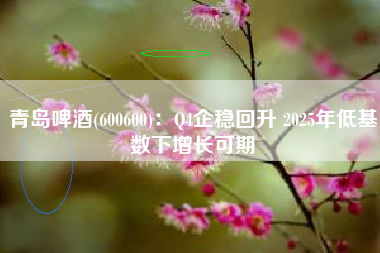 青岛啤酒(600600)：Q4企稳回升 2025年低基数下增长可期