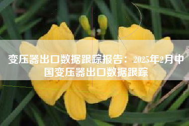 变压器出口数据跟踪报告：2025年2月中国变压器出口数据跟踪
