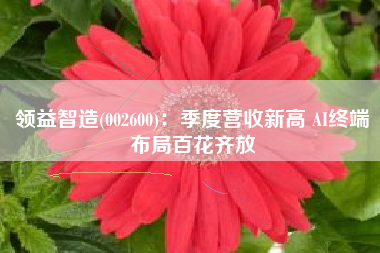 领益智造(002600)：季度营收新高 AI终端布局百花齐放