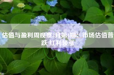 估值与盈利周观察3月第4期：市场估值普跌 红利领涨