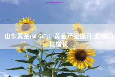 山东黄金(600547)：黄金产量提升 业绩同比增长