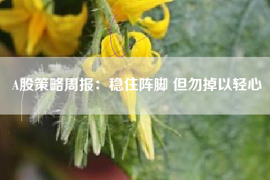 A股策略周报：稳住阵脚 但勿掉以轻心