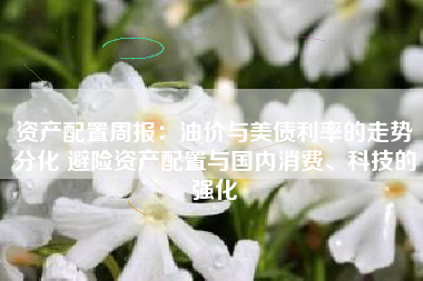 资产配置周报：油价与美债利率的走势分化 避险资产配置与国内消费、科技的强化