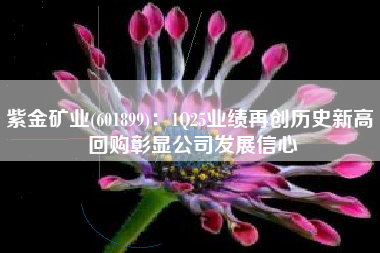 紫金矿业(601899)：1Q25业绩再创历史新高 回购彰显公司发展信心