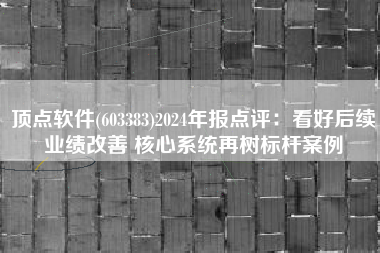 顶点软件(603383)2024年报点评：看好后续业绩改善 核心系统再树标杆案例