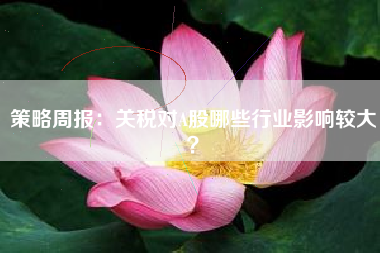 策略周报:关税对A股哪些行业影响较大? 策略周报:关税对A股哪些行业影响较大?