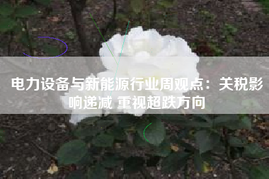 电力设备与新能源行业周观点：关税影响递减 重视超跌方向