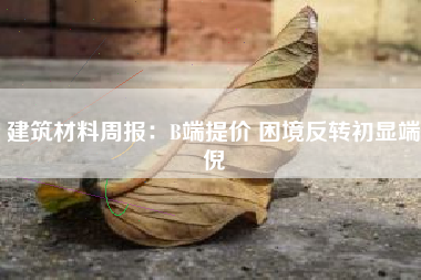 建筑材料周报：B端提价 困境反转初显端倪