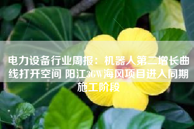 电力设备行业周报：机器人第二增长曲线打开空间 阳江3GW海风项目进入同期施工阶段