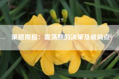 策略周报：震荡期的决策及破局点