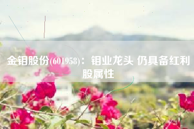 金钼股份(601958)：钼业龙头 仍具备红利股属性