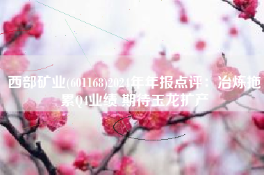 西部矿业(601168)2024年年报点评：冶炼拖累Q4业绩 期待玉龙扩产