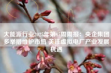 大能源行业2025年第15周周报：央企集团多举措维护市值 关注虚拟电厂产业发展机遇