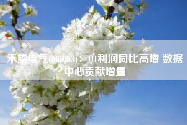 禾望电气(603063)：Q1利润同比高增 数据中心贡献增量