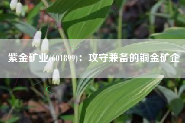 紫金矿业(601899)：攻守兼备的铜金矿企
