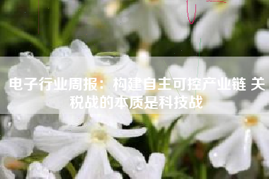 电子行业周报：构建自主可控产业链 关税战的本质是科技战