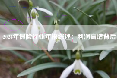 2024年保险行业年报综述：利润高增背后