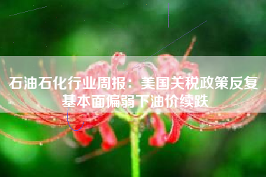 石油石化行业周报：美国关税政策反复 基本面偏弱下油价续跌