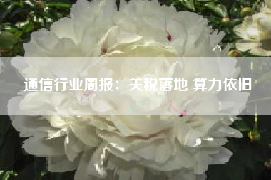 通信行业周报：关税落地 算力依旧