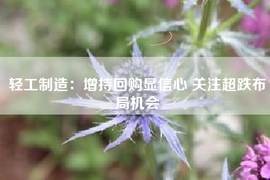 轻工制造：增持回购显信心 关注超跌布局机会