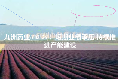 九洲药业(603456)：短期业绩承压 持续推进产能建设