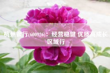 杭州银行(600926)：经营稳健 优质高成长区域行
