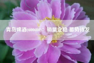 青岛啤酒(600600)：销量企稳 蓄势待发