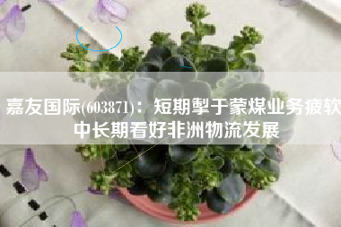 嘉友国际(603871)：短期掣于蒙煤业务疲软 中长期看好非洲物流发展