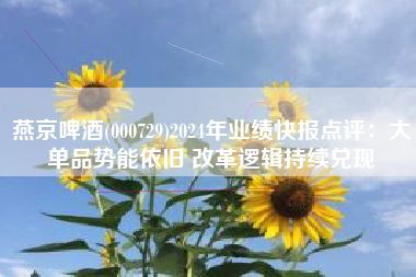 燕京啤酒(000729)2024年业绩快报点评：大单品势能依旧 改革逻辑持续兑现