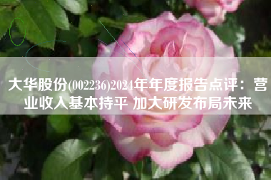 大华股份(002236)2024年年度报告点评：营业收入基本持平 加大研发布局未来