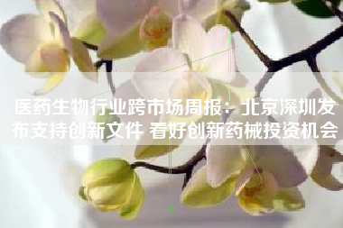医药生物行业跨市场周报：北京深圳发布支持创新文件 看好创新药械投资机会