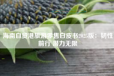 海南自贸港旅游零售白皮书2025版：韧性前行 潜力无限