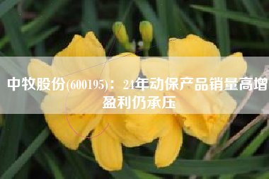 中牧股份(600195)：24年动保产品销量高增 盈利仍承压