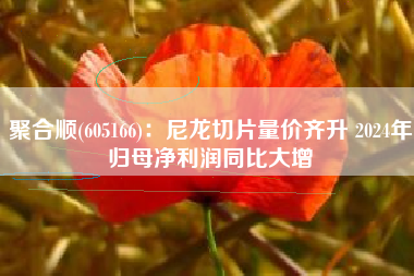 聚合顺(605166)：尼龙切片量价齐升 2024年归母净利润同比大增