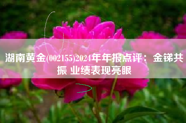 湖南黄金(002155)2024年年报点评：金锑共振 业绩表现亮眼