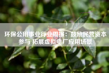 环保公用事业行业周报：鼓励民营资本参与 拓展虚拟电厂应用场景