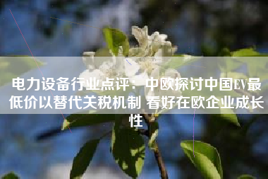 电力设备行业点评：中欧探讨中国EV最低价以替代关税机制 看好在欧企业成长性