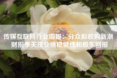 传媒互联网行业周报：分众拟收购新潮 财报季关注业绩稳健性和股东回报