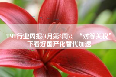 TMT行业周报(4月第2周)：“对等关税”下看好国产化替代加速