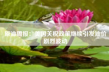 原油周报：美国关税政策继续引发油价剧烈波动