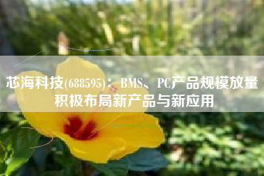 芯海科技(688595)：BMS、PC产品规模放量 积极布局新产品与新应用